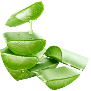 Ruzmarin-Menta šampon za rast kose