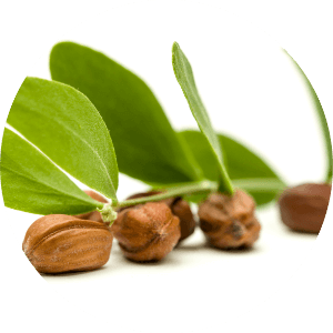 Ulje za sjajne krajeve