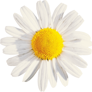 Hidro serum za hidrataciju kose