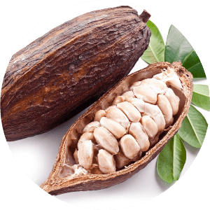 Ulje za oporavak kose